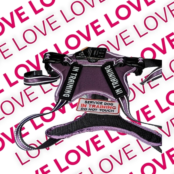 🐾 Dog Service Harnes by Bolux, XL - Picture 9 of 9